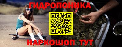 гашик Славгород