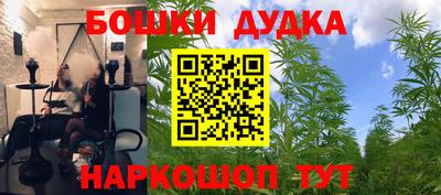 гашик Славгород